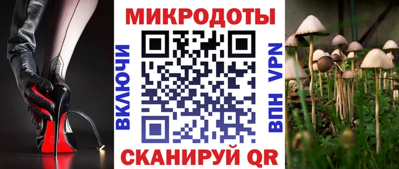 Купить где Серов Псилоцибиновые грибы Psilocybine cubensis